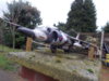Harrier gr3 003.JPG