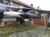 Harrier gr3 015.JPG