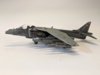 Harrier 3.jpg