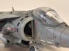 Harrier 10.jpg