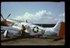 P-51D_Blondie.jpg