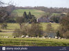sheep-in-pasture-with-bourne-park-bishopsbourne-kent-18th-century-ACXBKT.jpg