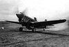 P-40_Warhawks_11th_FS_343rd_FG_11th_AF_Aleutian_Tigers_1942_nose_art.jpeg