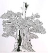 tree-drawing.jpg