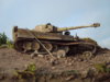 busted tiger 042.jpg