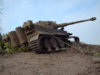 busted tiger 044.jpg
