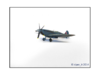 Spitfire Mk.XIX - B.png