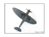 Spitfire Mk.XIX - L.png