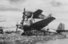 FW 190 Mistel.jpg