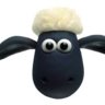 Andy the Sheep